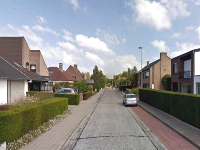 Biezenbos - straatzicht