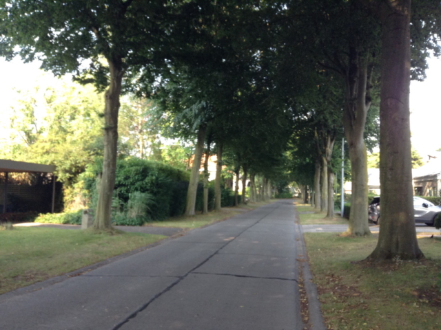Amazonedreef - straatzicht