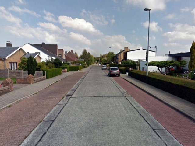 Biezenbos - straatzicht