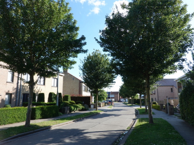 Het Brembos - straatzicht