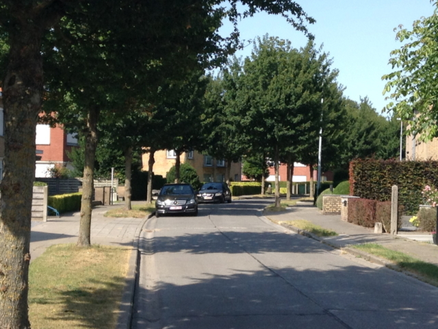Het Brembos - straatzicht