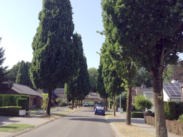 Het Brembos- straatzicht