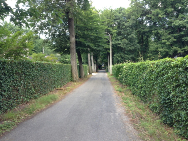 Espendreef - straatzicht