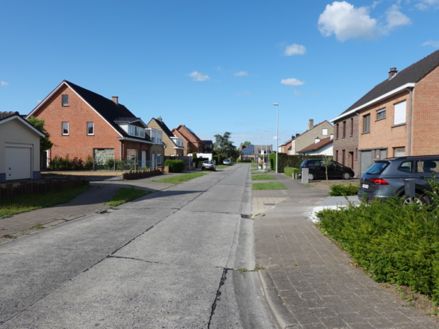 Galbertuslaan - straatzicht