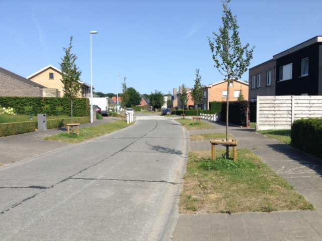 Galbertuslaan - straatzicht