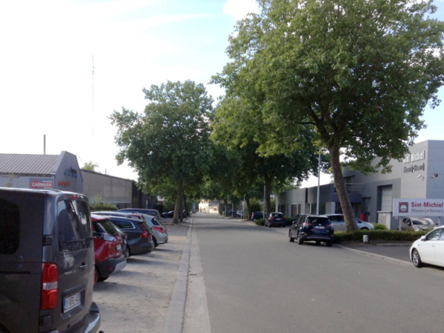 Grasdreef - straatzicht