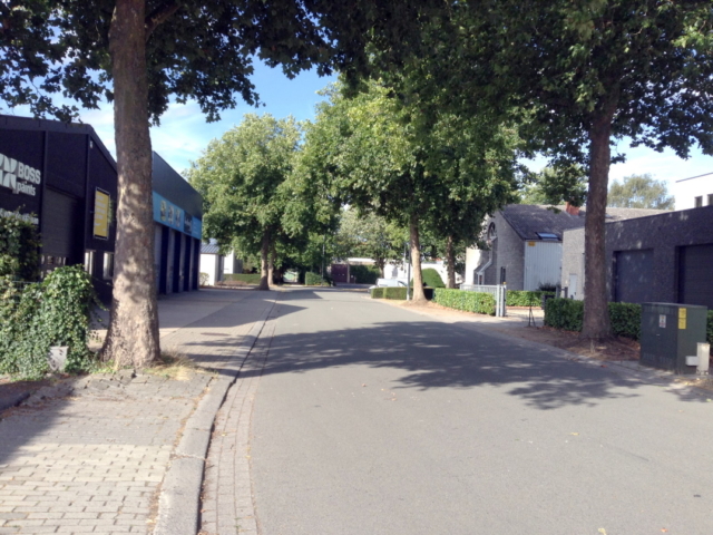 Grasdreef - straatzicht