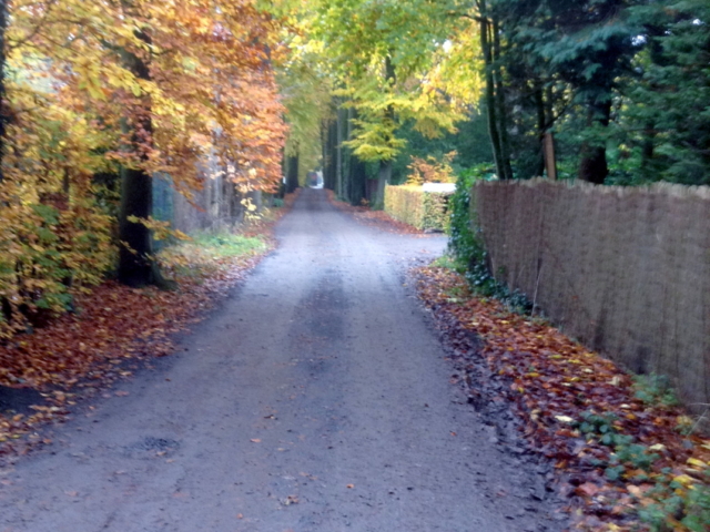 Kooidreef - straatzicht