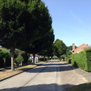 Kranenburg - straatzicht