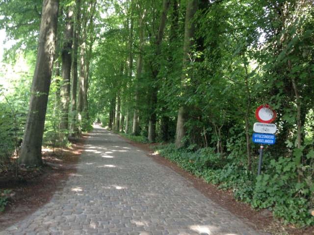 Lorkendreef - straatzicht