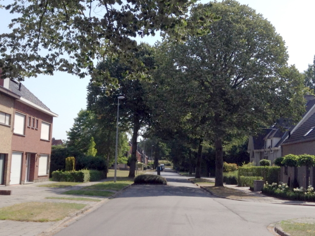 Parklaan - straatzicht