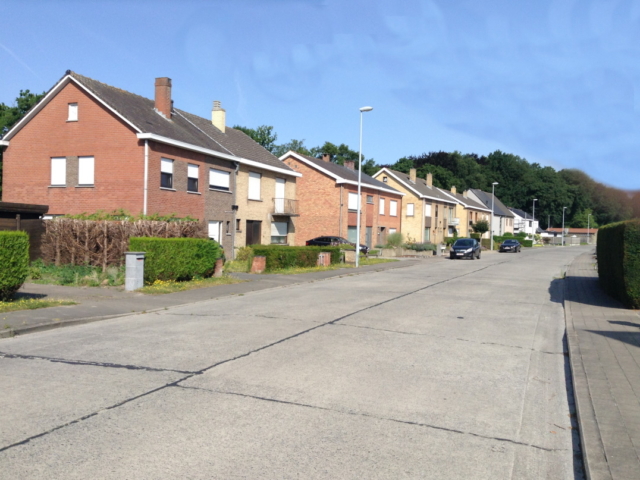 Rietlaan - straatzicht