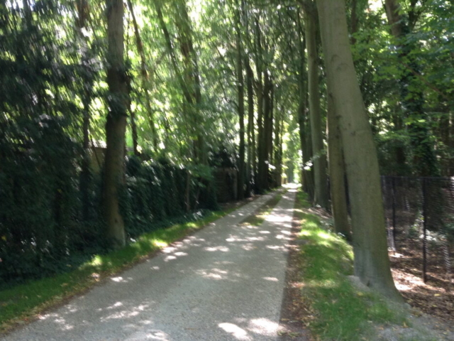 Valkenbosdreef - straatzicht