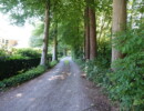 Veldhoendreef - straatzicht