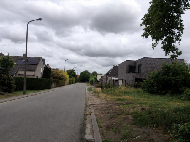 Vogelkersstraat - straatzicht