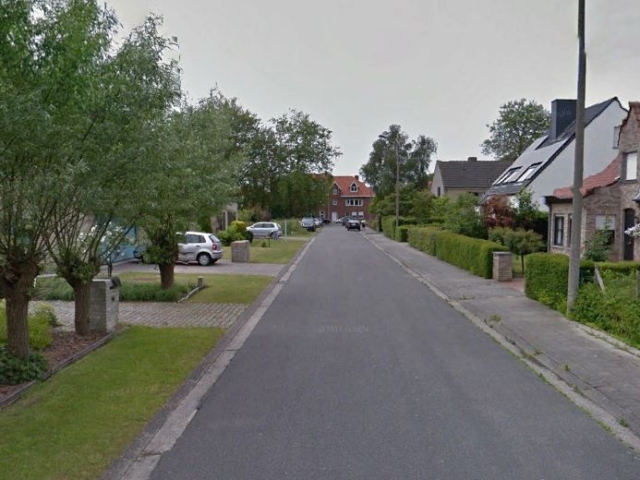 Vogelkersstraat - straatzicht