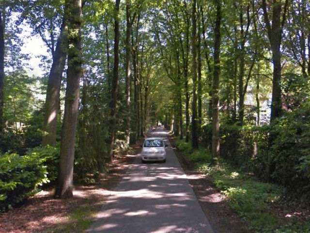 Onze-Lieve-Vrouwedreef - straatzicht