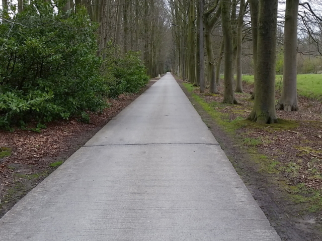 Onze-Lieve-Vrouwedreef - straatzicht