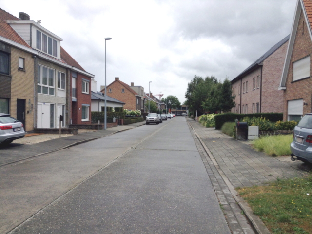 Ter Zwaenekerke - straatzicht